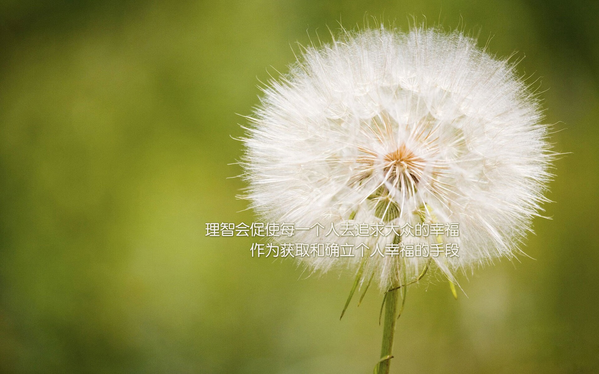 爱游戏体育（AYX）官方APP下载-Dota 2 赛事转播技术升级，dota2chuan