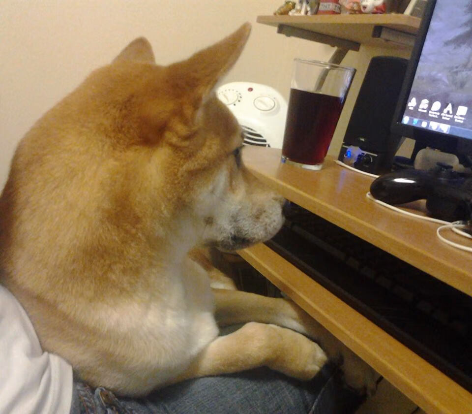 爱游戏官方-CS2 新版本赛事规则更新，cs2_2012