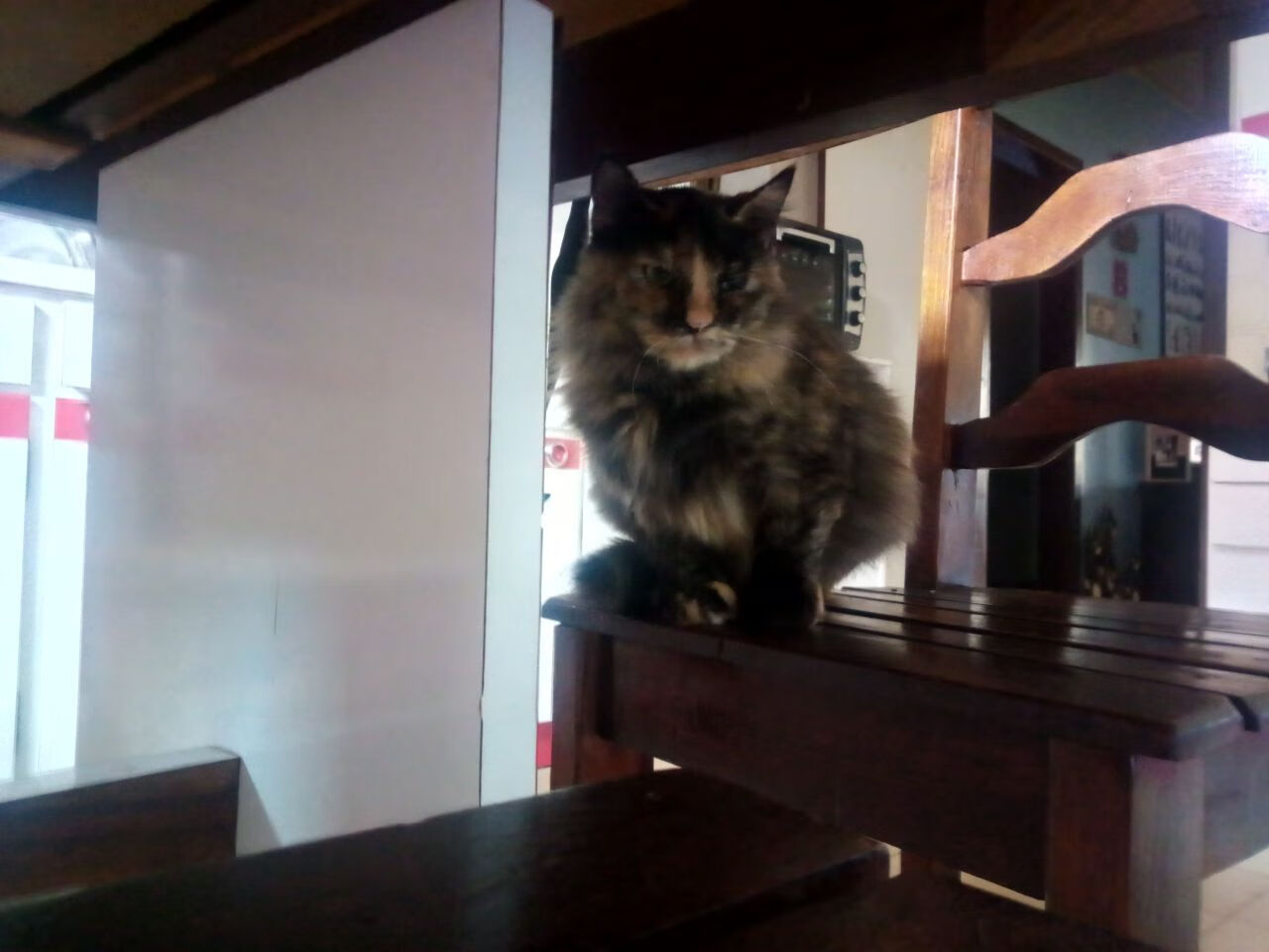 WRC冬季赛:冰雪赛道中的极速比拼,冰雪赛车比赛视频