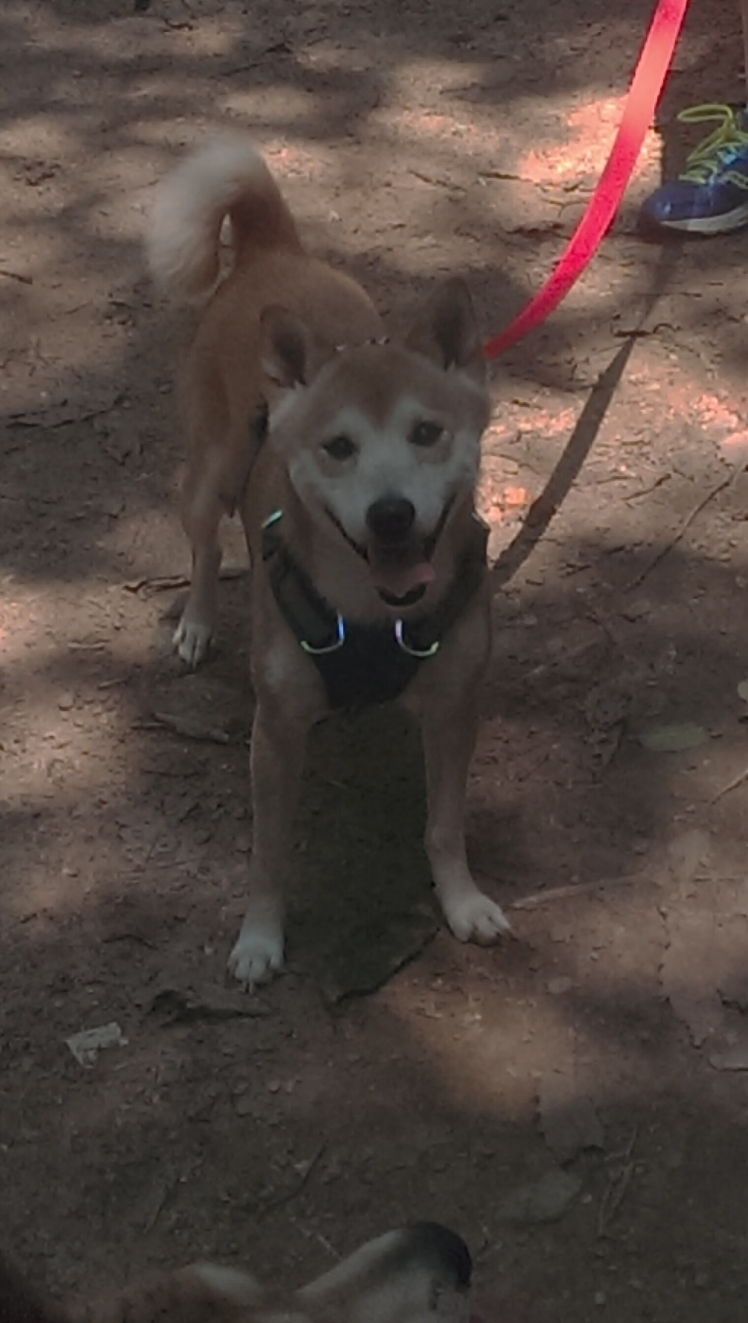 AIYOUXI.COM-VALORANT 新赛季战术趋势明显，valorant玩法