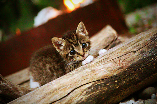 _全景艺体秀:光影盛宴中的运动奇迹_,光影艺术体验展