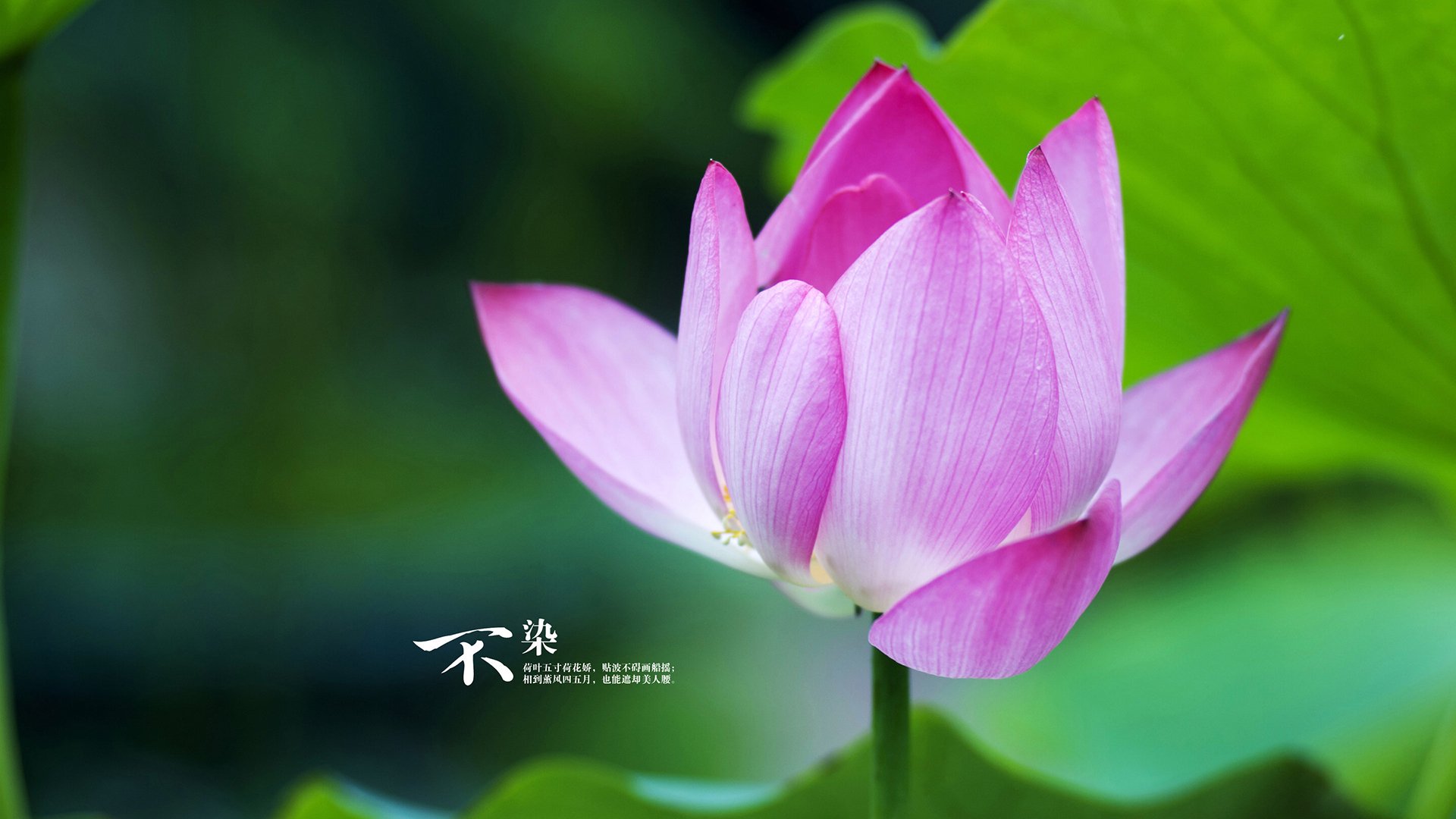 _绿能赛车:绿色动力引领未来运动_,绿能动力新能源科技有限公司