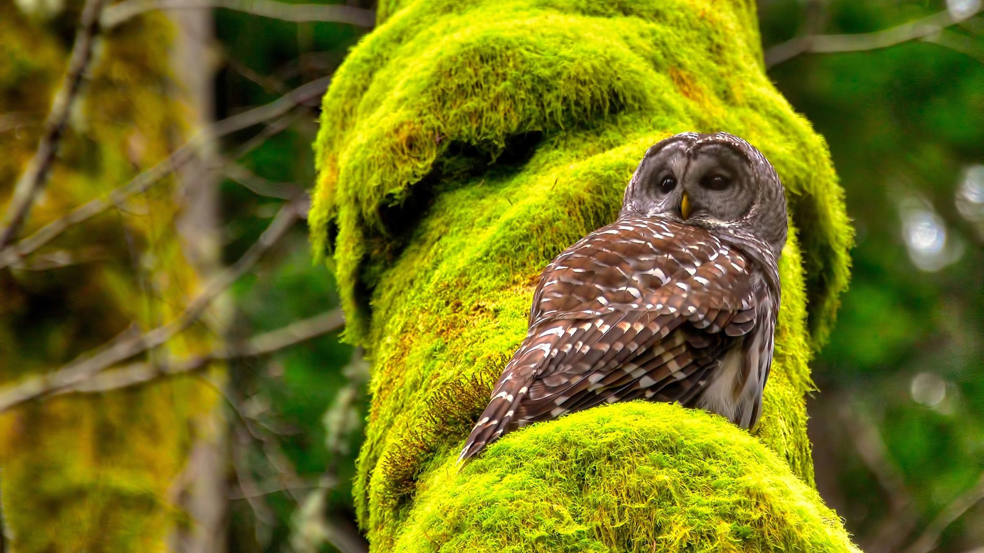 爱游戏体育APP下载-最令你印象深刻的比赛瞬间，令你印象深刻的一次比赛