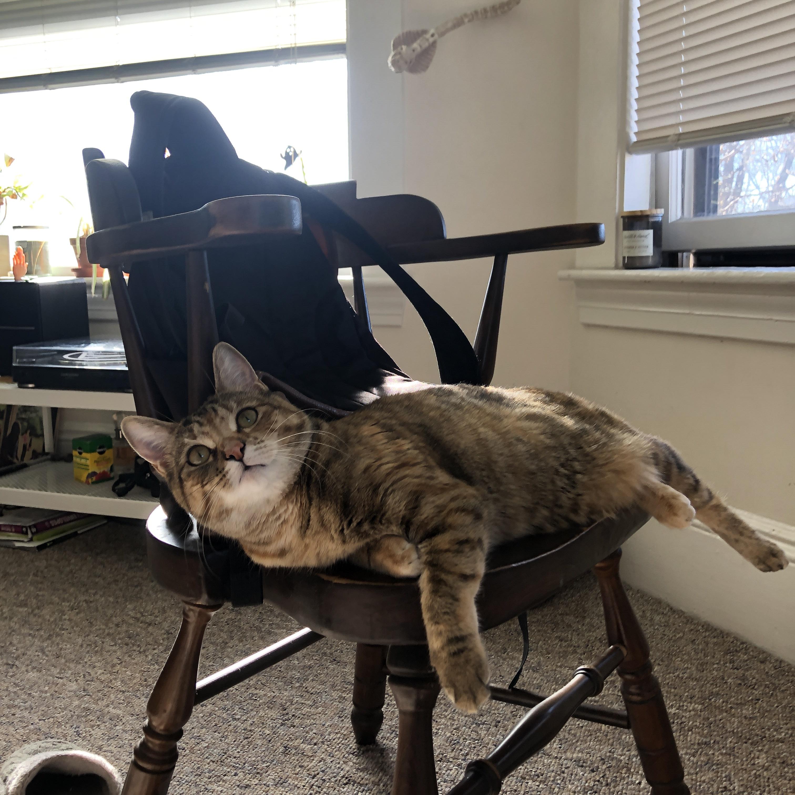 爱游戏官方网站-赛道漫游——特色城市迷你赛车体验，高速迷你赛车