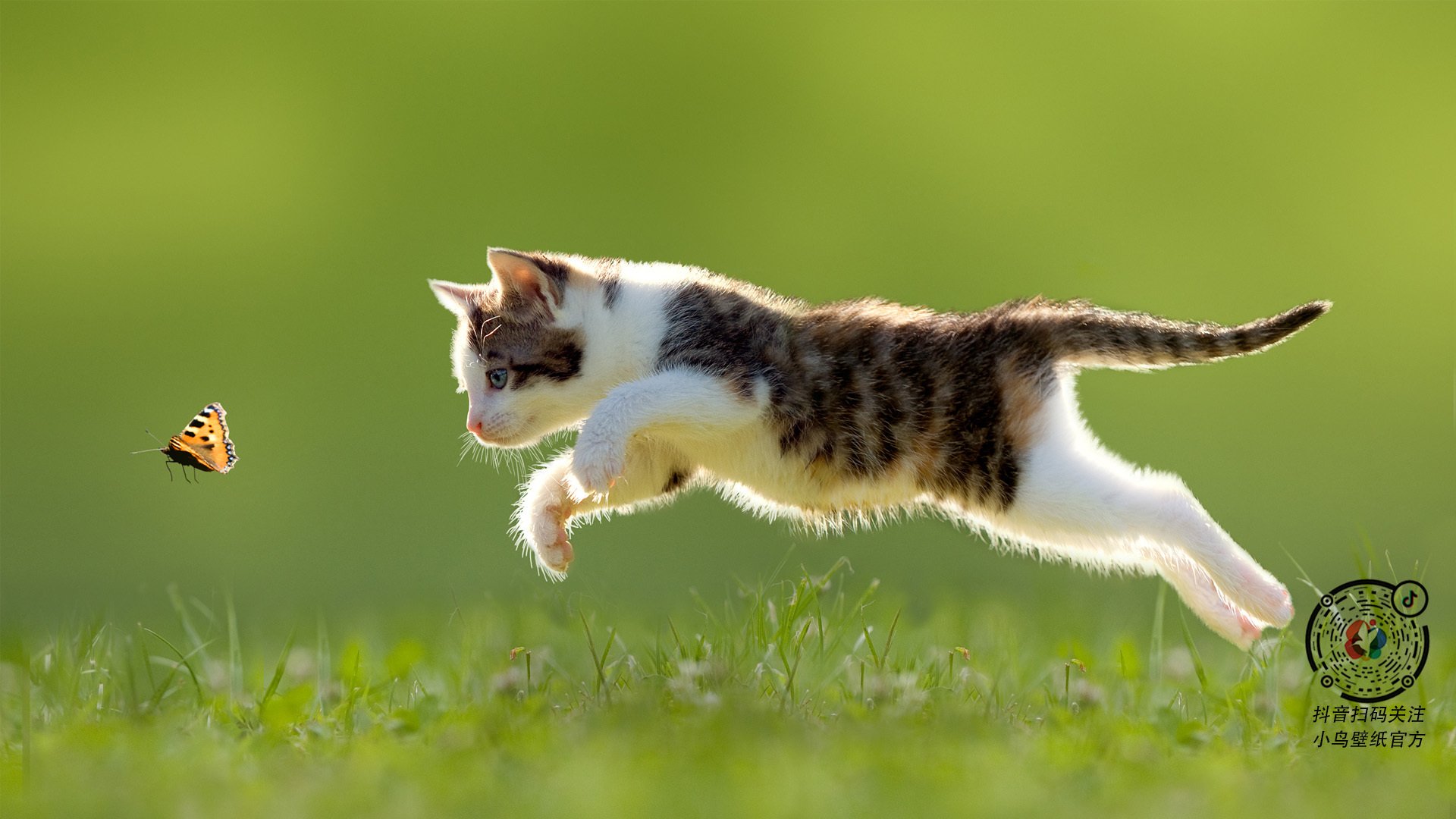 高空秋千极限挑战,勇气指数爆表,高空秋千游玩须知