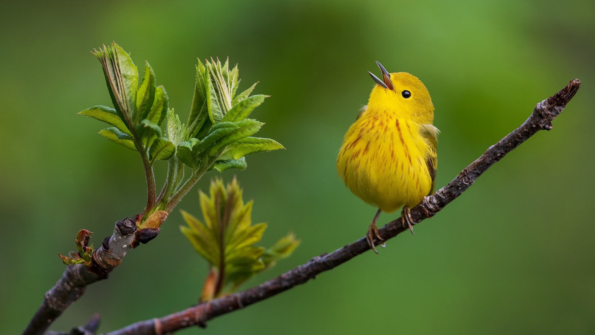 BLG组织电竞运动员职业培训班,职业电竞选手培训班