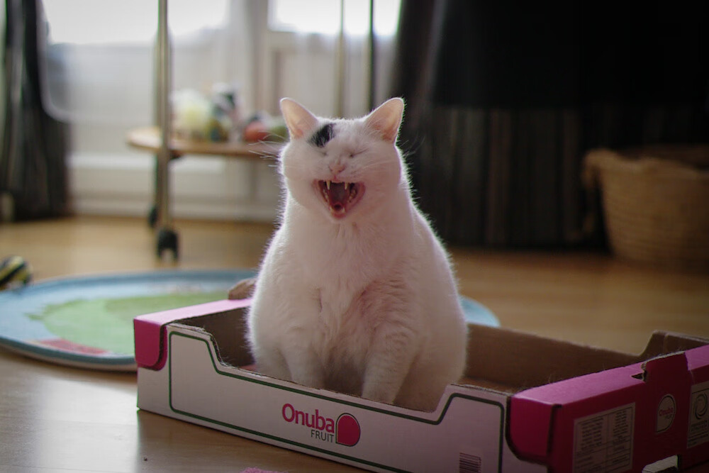 爱游戏体育app-FaZe开启LOL直播系列挑战赛，faze冠军