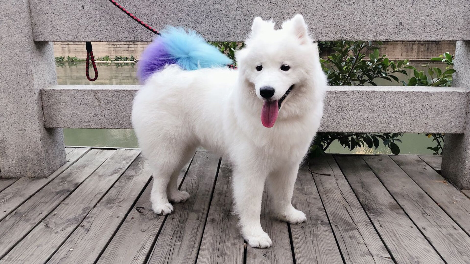 爱游戏app下载-Yeon关键团战一打三，关键团战输出