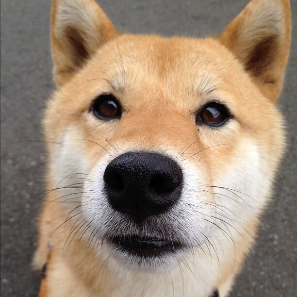 中超球队裁判执法规范性提升,比赛更公平,中超裁判监督