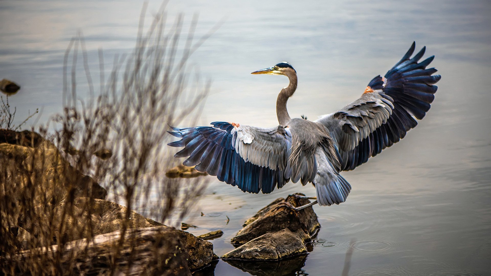 年轻球员压力是否已超出合理范围，年轻球员排名