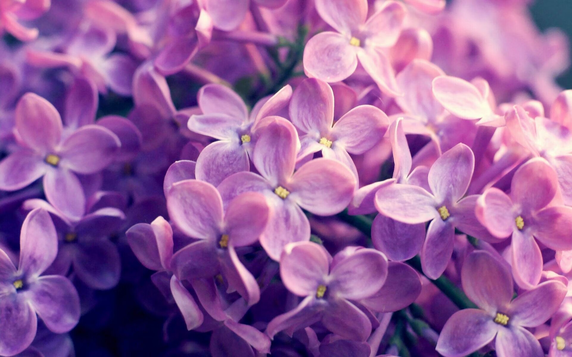 比赛中球队表现抢眼，赢得广大支持，面对这么多的困难,球队怎么能赢得比赛呢_