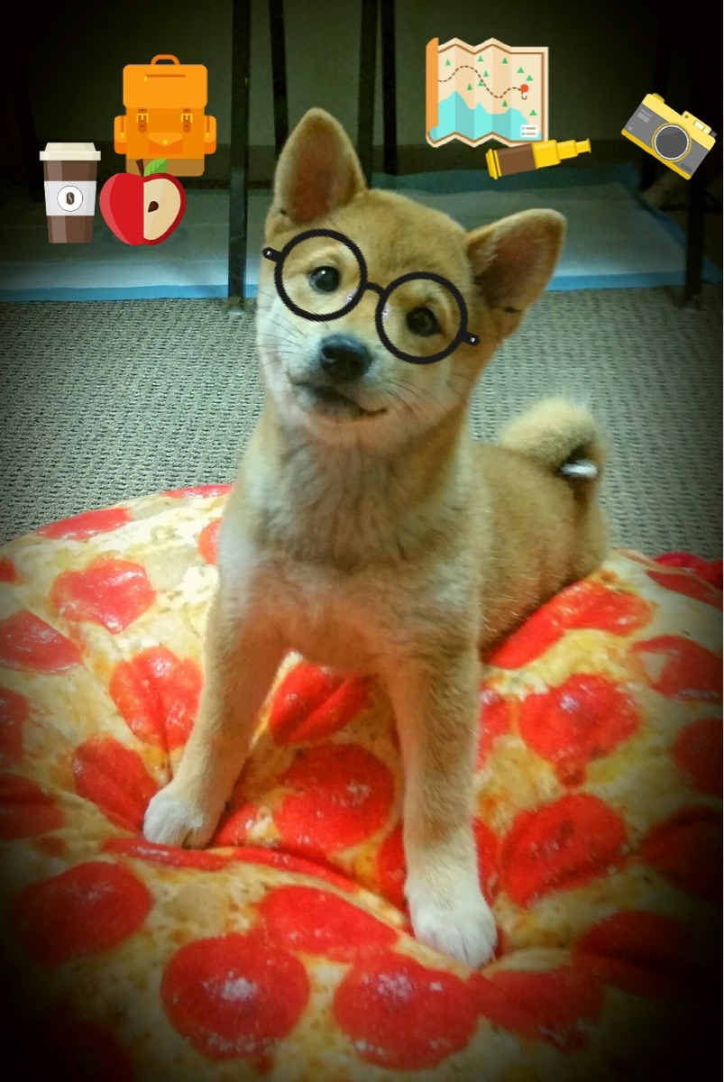 爱游戏-电竞游戏角色平衡调整对职业比赛策略的影响分析，角色平衡是什么意思