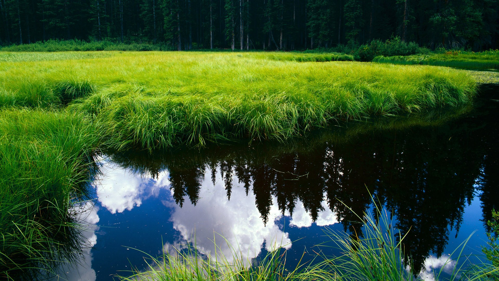 葡萄牙体育射手成为球队进攻核心，葡萄牙最佳射手