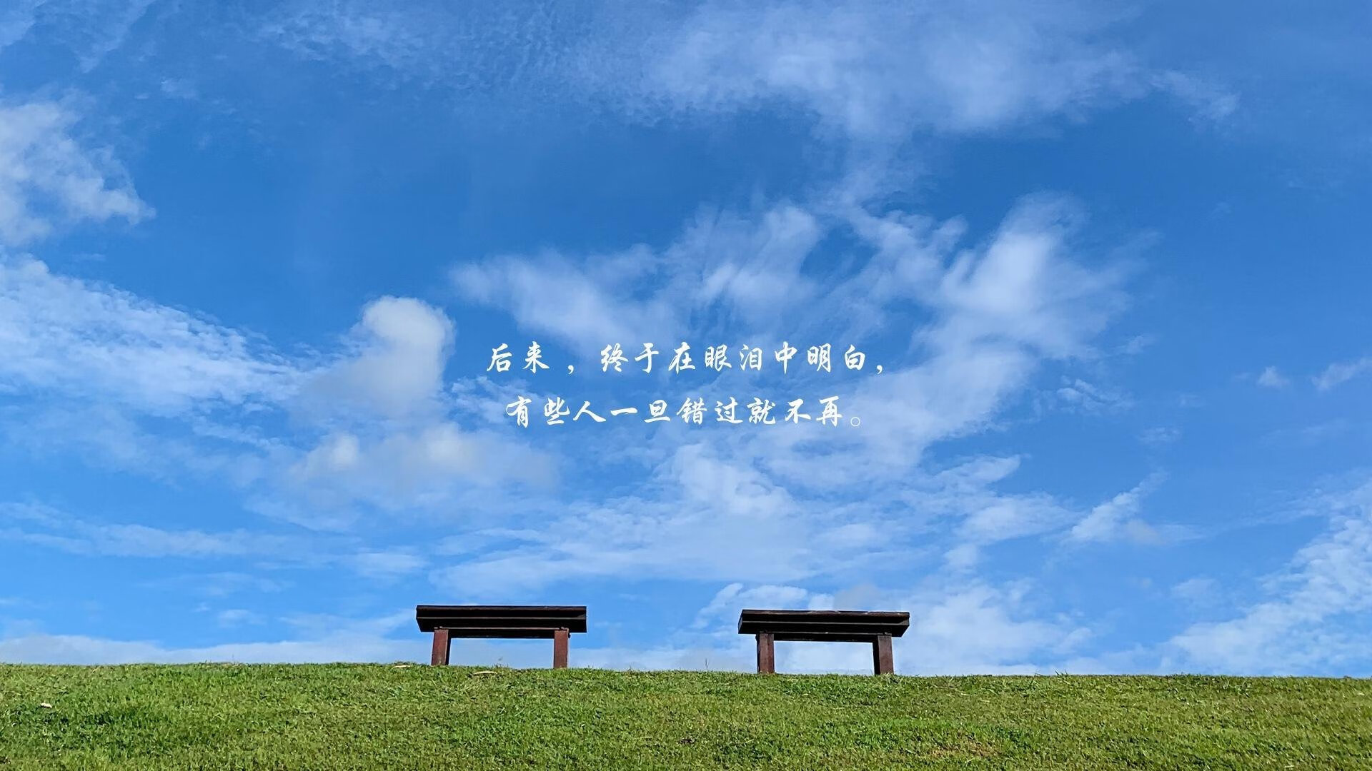 校园体育活动参与度与学生学业表现关联,学生参与学校体育的价值