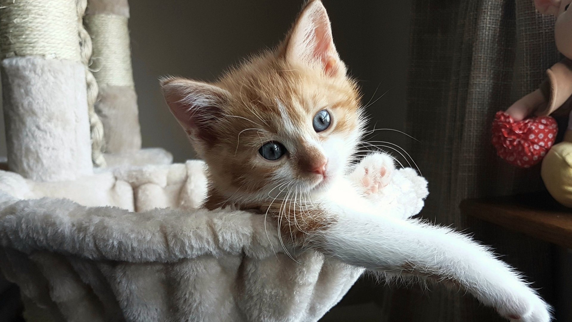 篮球专项技能动作捕捉技术的创新发展，篮球动作技术分析