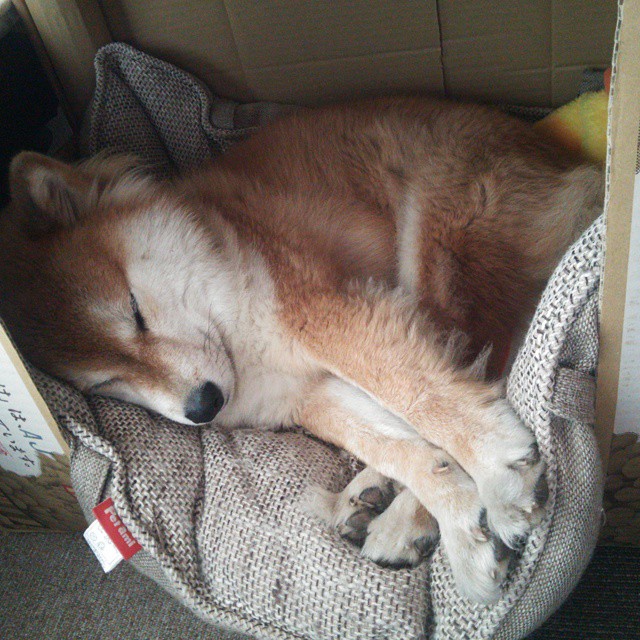 AYX体育-俱乐部管理制度改革缓慢，俱乐部制度有哪些