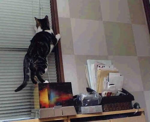 C罗挑战全新联赛首战梅开二度,c罗挑战全新联赛首战梅开二度视频