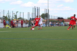 爱游戏体育-未来足球运动场将实现环保材料全覆盖，绿色发展理念深入人心，室外足球场的运营方案