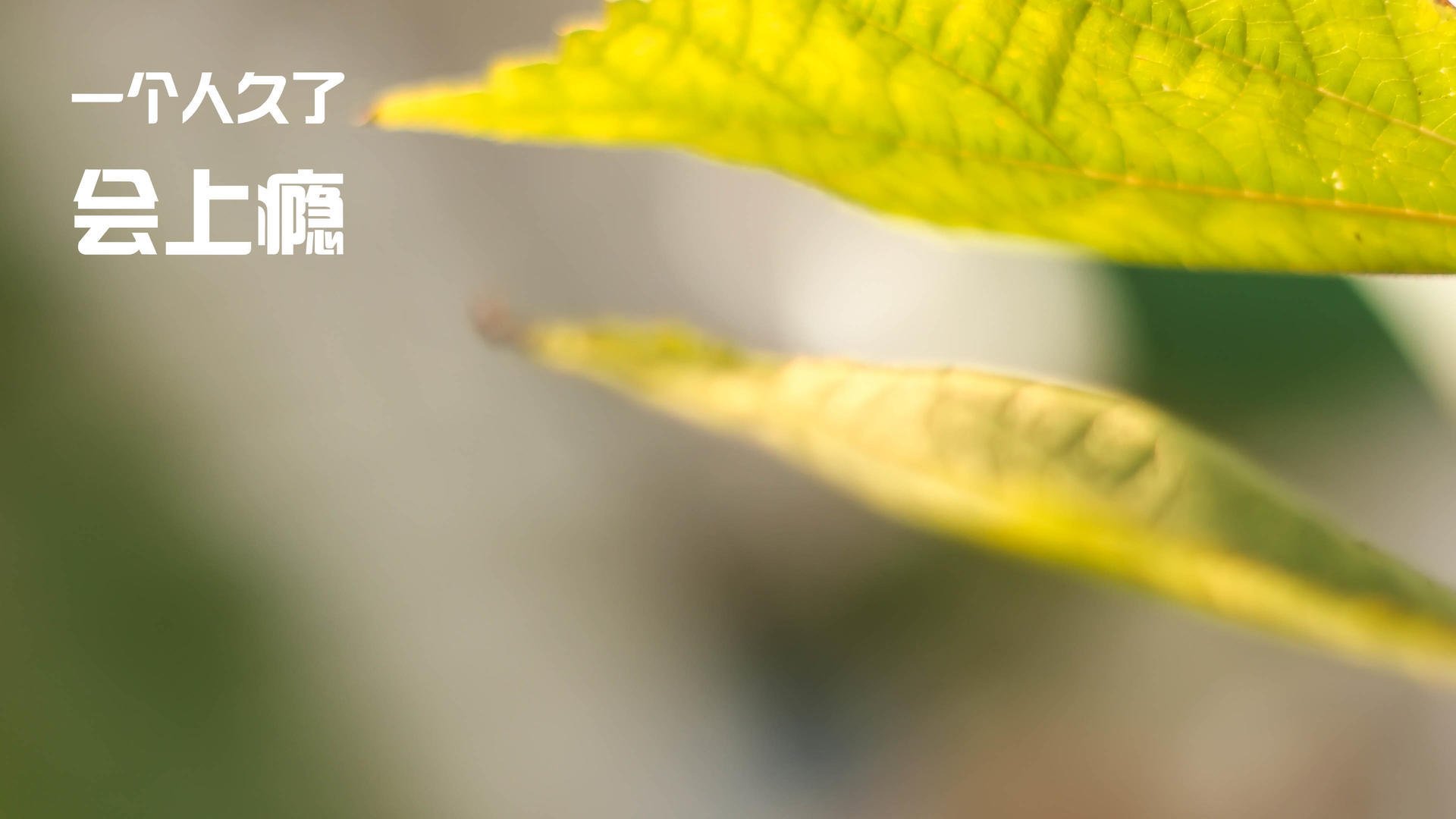 爱游戏-篮球青训设立师徒配对制度促进经验传承，篮球青训队要求