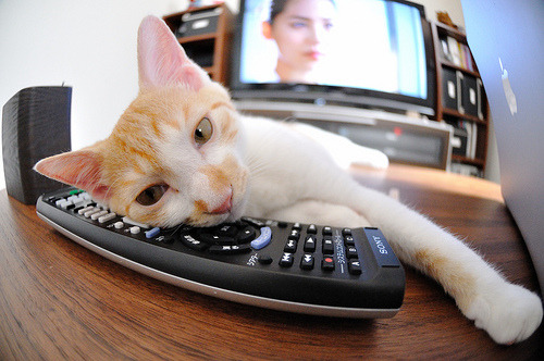 爱游戏体育app-青训中心建立球员成长档案系统便于长期观察，青训队足球